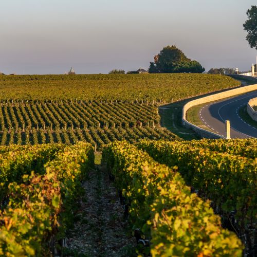 The Ultimate Bordeaux Wine Tasting Experience